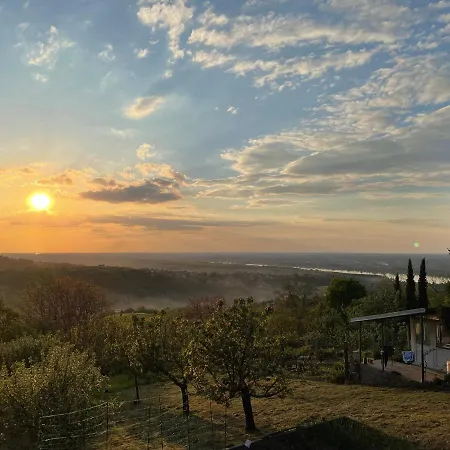 Vila Teja Novi Novi Ledinci Εξωτερικό φωτογραφία