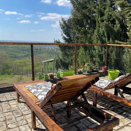 Vila Teja Novi Novi Ledinci Εξωτερικό φωτογραφία