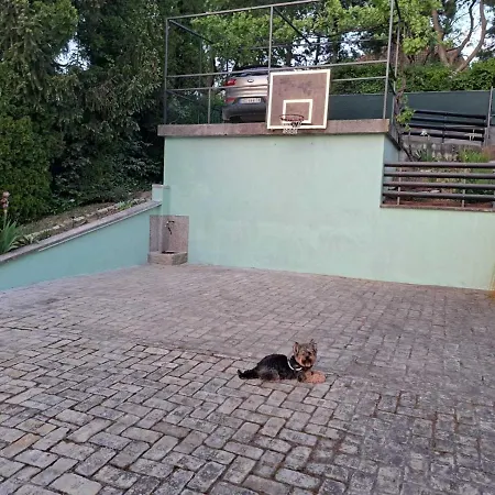 Vila Teja Novi Novi Ledinci Εξωτερικό φωτογραφία