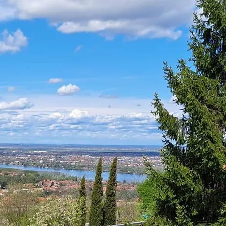 Vila Teja Novi Novi Ledinci Εξωτερικό φωτογραφία