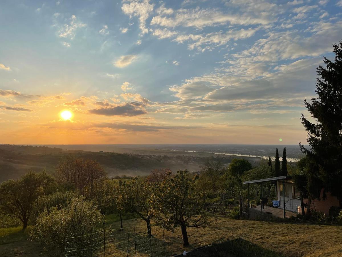 Holiday home Teja Ledinci