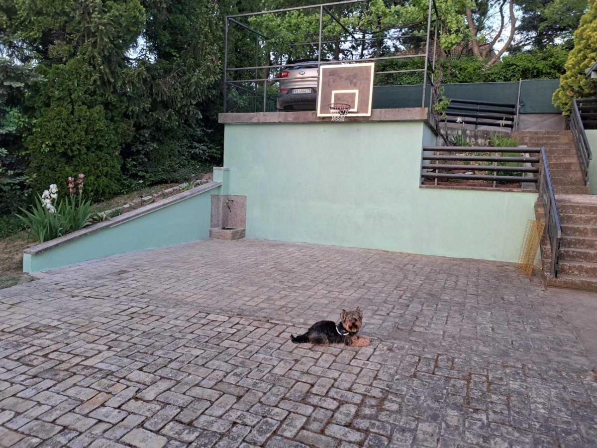 Teja Holiday home *