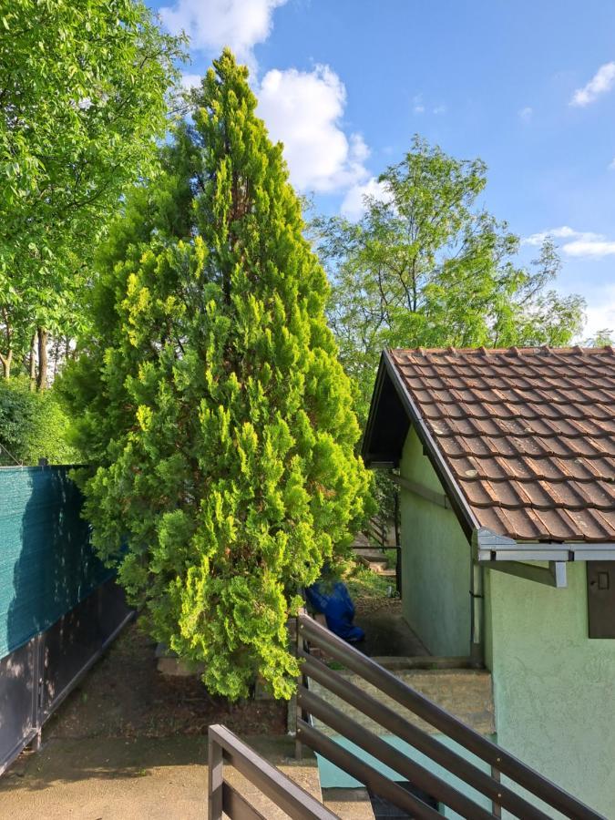 Casa vacanze Teja *