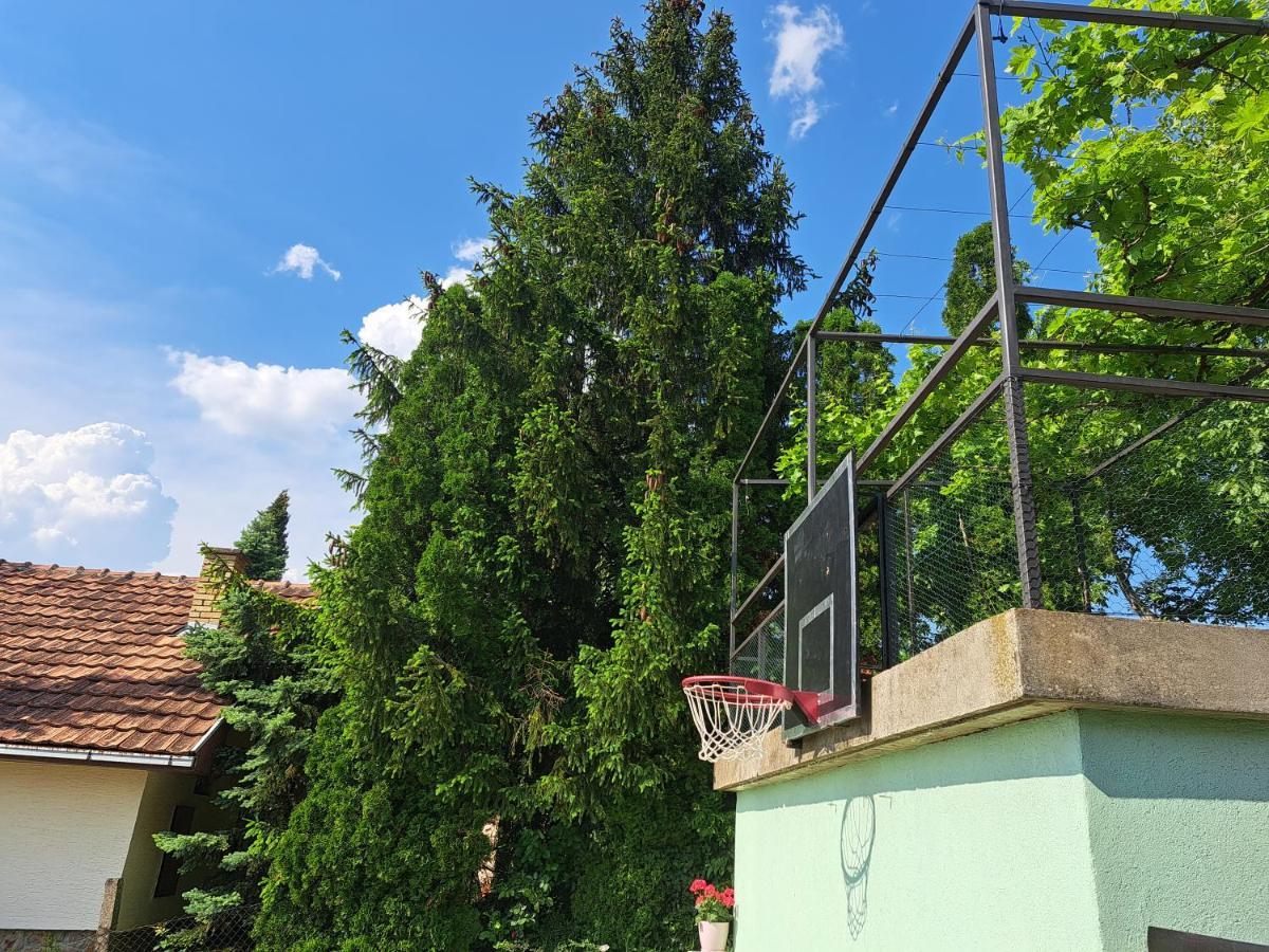 Teja Holiday home Ledinci