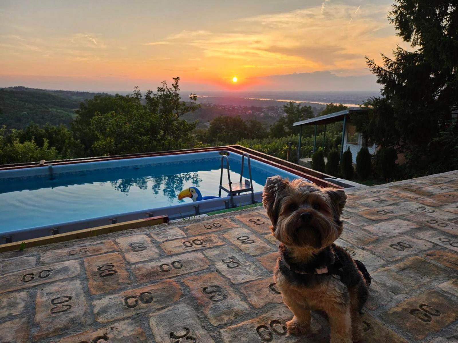 Holiday home Teja