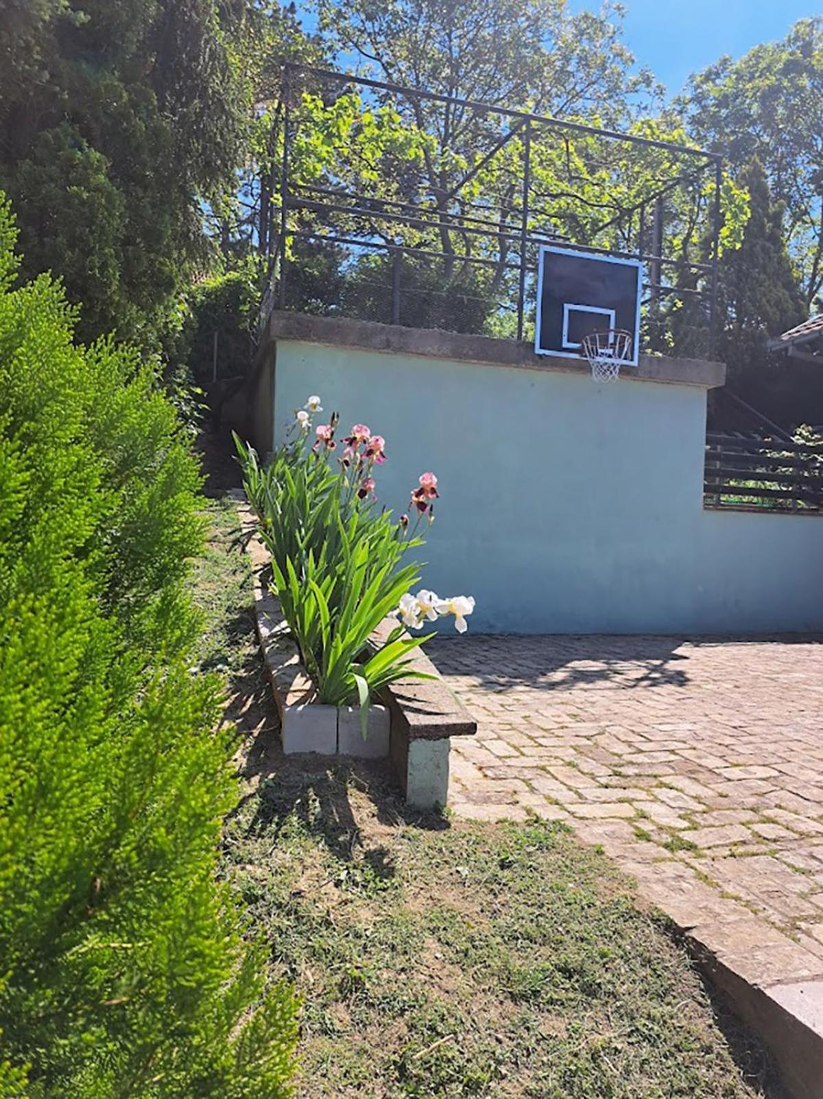 Teja Holiday home *