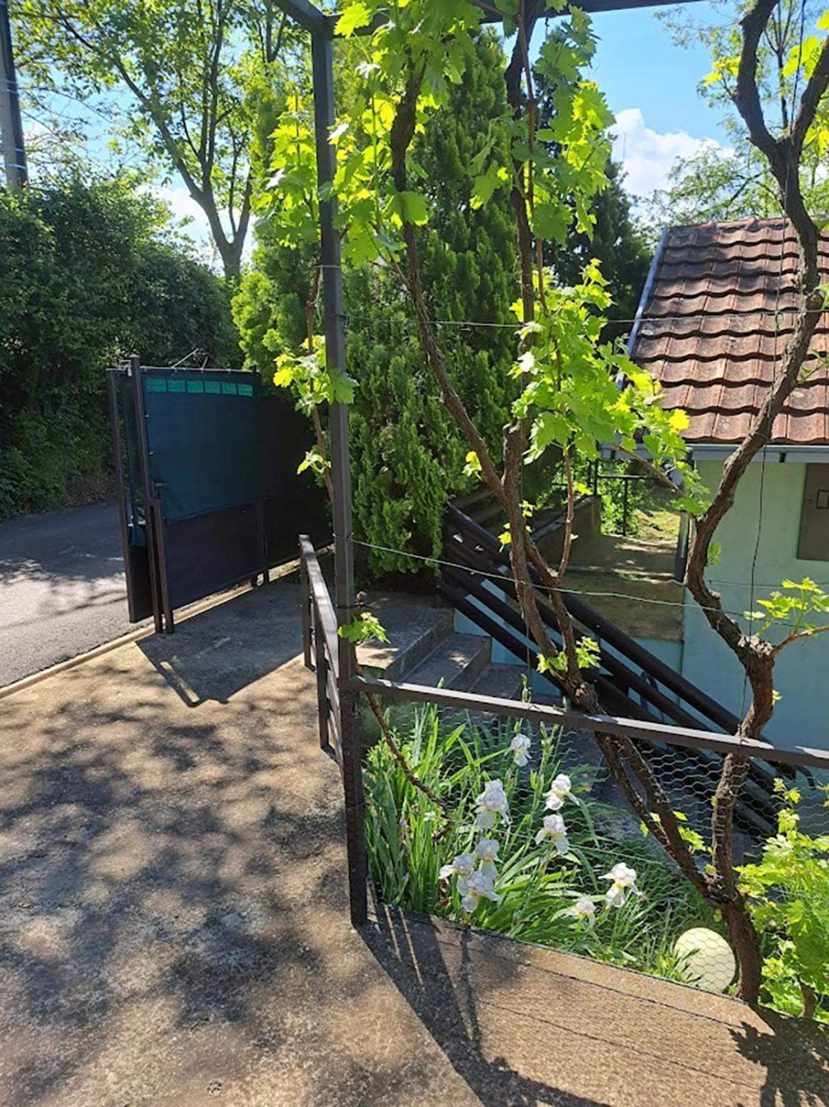 Teja Casa vacanze Novi Ledinci